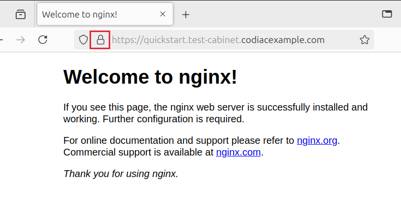 Default NGINX landing page