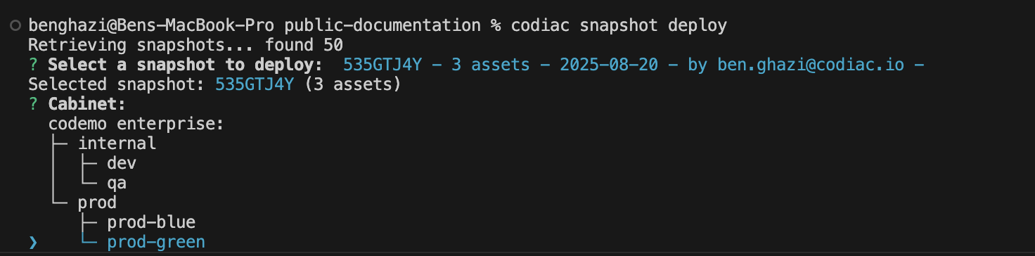 Snapshot deploy CLI output